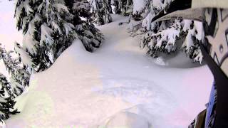 Skidoo XM 163 in Tits Deep Powder Trees  No MusicampMusic [upl. by Dranoc]