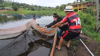 COMECEI A VENDER OS PEIXES DOS TANQUEREDES [upl. by Leventhal860]