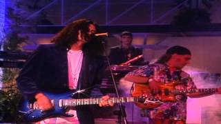 Caifanes  Viento En Vivo 1991Remasterizado HD [upl. by Weisberg730]