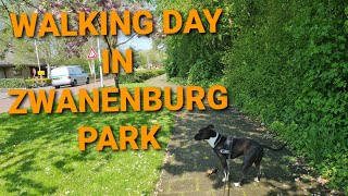 Walking in ZWANENBURG PARK [upl. by Auberbach]