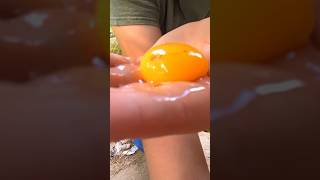 Why Was This Inside of This Chicken Egg chickenegg [upl. by Urquhart]