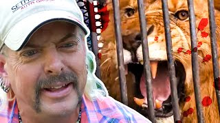 Joe Exotic  The DANGERS of Owning Wild Animals  Curious Natural World [upl. by Anenahs402]