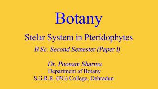 Stelar System in Pteridophytes [upl. by Marie-Ann699]