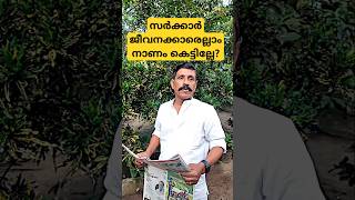 സർക്കാര് ജീവനക്കാരേല്ലാം നാണം കെട്ടില്ലേ social issue in kerala malayalamshortsviralfah [upl. by Dunson]