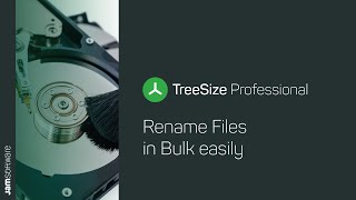 How To Rename Files in Bulk  TreeSize  JAM Software [upl. by Anola]