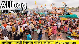 Fish Auction Market Alibag  सबसे सस्ता Fish Market Alibaug  Wholesale Fish Market  मच्छी लिलाव [upl. by Aikkin55]