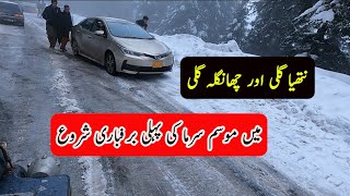 snowfall in nathia gali  Murree  Ayubia [upl. by Docila696]