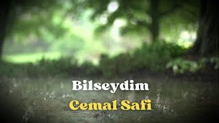 Cemal SafiBilseydim [upl. by Aikar]