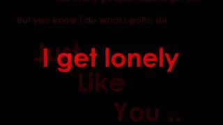 Drake  I Get Lonely Too Lyrics [upl. by Dominy497]