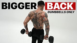 10 Min Complete Back Workout Dumbbells ONLY Follow Along [upl. by Pevzner305]