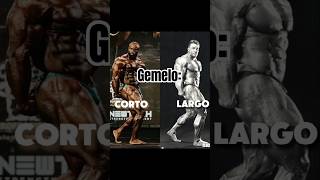 Corto o Largo Como es tu gemelo fiitnessexp gym bodybuilding [upl. by Aimo]