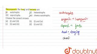 Decomposers like fungi and bacteria are [upl. by Alansen]
