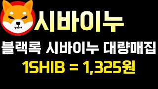 시바이누 코인  블랙록 시바이누 대량매집 시작 1SHIB  1325원간다 [upl. by Annaitsirk258]