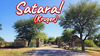 S1 – Ep 433 – Satara Rest Camp [upl. by Dorsman]