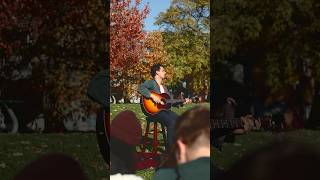 “Shipwreck” in the park last weekend ❤️ americana indie indiefolk busking livemusic shipwreck [upl. by Gordy629]