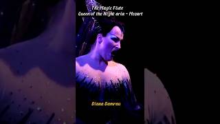 The Magic Flute  Queen of the Night  mozart magicflute flute music shorts [upl. by Ettezyl735]