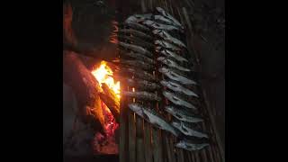 How to dry fish using firewood in the jungle fishing [upl. by Yekciv]