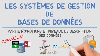 Les SGBD 13  Notions et Niveaux de Description des Données [upl. by Eeladnerb]