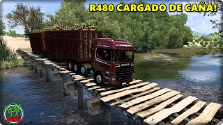 SCANIA R480 CARGADO CON CAÑA DE AZUCAR  MAPA ROTAS BRASIL  ETS2 MODS 140 [upl. by Iinden]