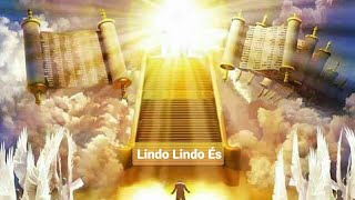 LINDO LINDO ÉS  Música Com Letra [upl. by Isidora391]