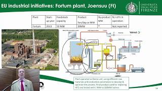 Advanced Biofuels Pyrolysis amp Hydrothermal Processing  Prof David Chiaramonti [upl. by Alimhaj807]