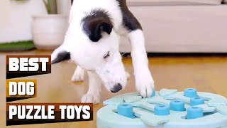 Dog Puzzle Toy  Best Selling Dog Puzzle Toys on Amazon [upl. by Olinad]