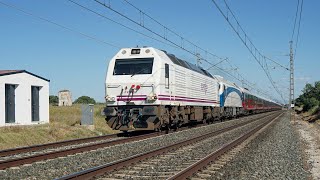 🚦Tren AlAndalus con locomotoras 333 Civia y Alvia s130 a su paso por la estación de Dos Hermanas🚦 [upl. by Dripps]