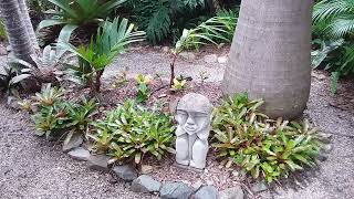 Wet season monsoon in Queensland Part 1  Garden flourishes [upl. by Marja]