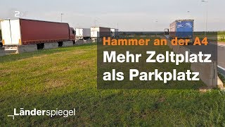 Wiese statt LKWParkplätze  Hammer der Woche vom 08062019  ZDF [upl. by Nanor]