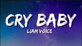 Liam Voice  Cry Baby Lyrics [upl. by Cynthea]