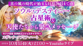 真の風の時代が始まる11月20日までのソウル・デスティニー占星術＆天使たちから緊急メッセージ【スザンナ・ソフィア・ハート】 [upl. by Naut343]