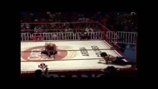 Ivelisse VS Taya WWL 2014 [upl. by Cave658]