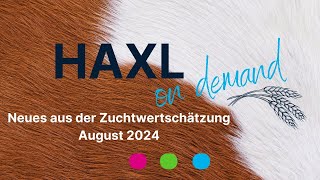 HAXL on demand  ZWS August 2024 [upl. by Eniamahs35]