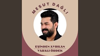 Eşinden Ayrılan Yaralı Ördek [upl. by Deuno]