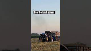 New Holland King 👑 Mere Veero shortsfeed ytshorts NewHolland [upl. by Eigram]