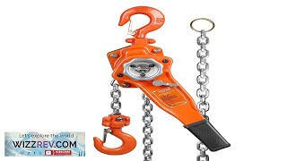 VEVOR HandOperated Chain Lift 1650 lbs Load 5ft Length G80 ZincCoated Steel Review [upl. by Rekrap603]