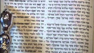 Rosh Hashanah Torah Reading  first day  Rabbi Weisblum קריאת התורה ראש השנה יום א [upl. by Martino591]