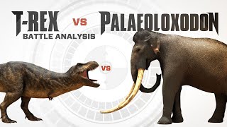 TREX vs PALAEOLOXODON  Battle FACEOFF Analysis [upl. by Adnaral]