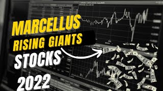 MARCELLUS RISING GIANTS PORTFOLIO STOCKS  SAURABH MUKHERJEE  2022 [upl. by Alisen]