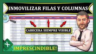 ⭐️Cómo INMOVILIZAR Filas y Columnas en Excel 🔴Trucos Curso de Excel para Principiantes [upl. by Nahpets]