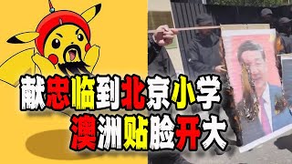 北京中關村三小發生“獻忠”事件，韭菜反噬少主子們？澳洲墨爾本焚燒習近平畫像和中國國旗（20241028第2309期） [upl. by Adnilra]