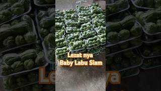 Packing labu siam vegetables garden music fruit nature love [upl. by Ellehcar194]