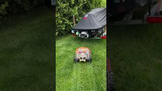 Worx Landroid Robotic Mower He Does a Good Job [upl. by Lerrej]