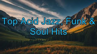 Top Acid Jazz Funk amp Soul Hits  Acid Jazz Classics Vol 1 Funk House Groove 90s to Now [upl. by Concordia]