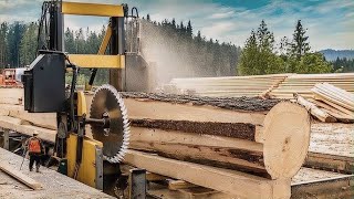 Extreme Sawmill Live Power Precision and Adrenaline [upl. by Boiney]