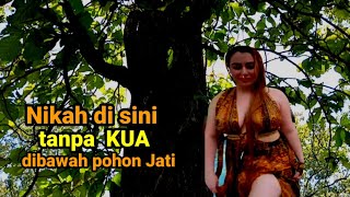 PENGHULU JATI NAIBTata cara unik Ijab Qobul dalam hutan Jati pengantin Kuno pedalaman Bojonegoro [upl. by Aitnahs]