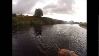 River Slaney Clohamon Salmon Fishing with Gary Murray [upl. by Aihgn]