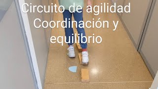 Circuito de agilidad equilibrio y coordinacion [upl. by Trela]