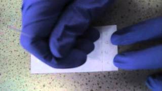 Introduction to Thin Layer Chromatography [upl. by Aborn75]