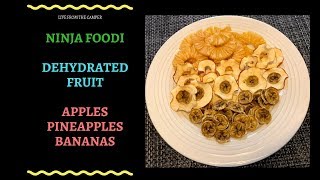 Ninja Foodi Dehydrated Pineapples Bananas and Apples [upl. by Mickie]